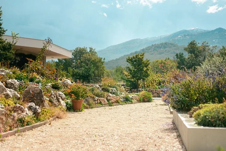 Gravel path winding through a garden with mountains in the background.